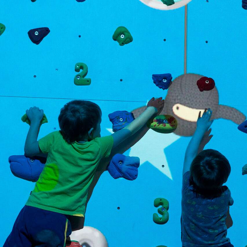 Climbing Wall